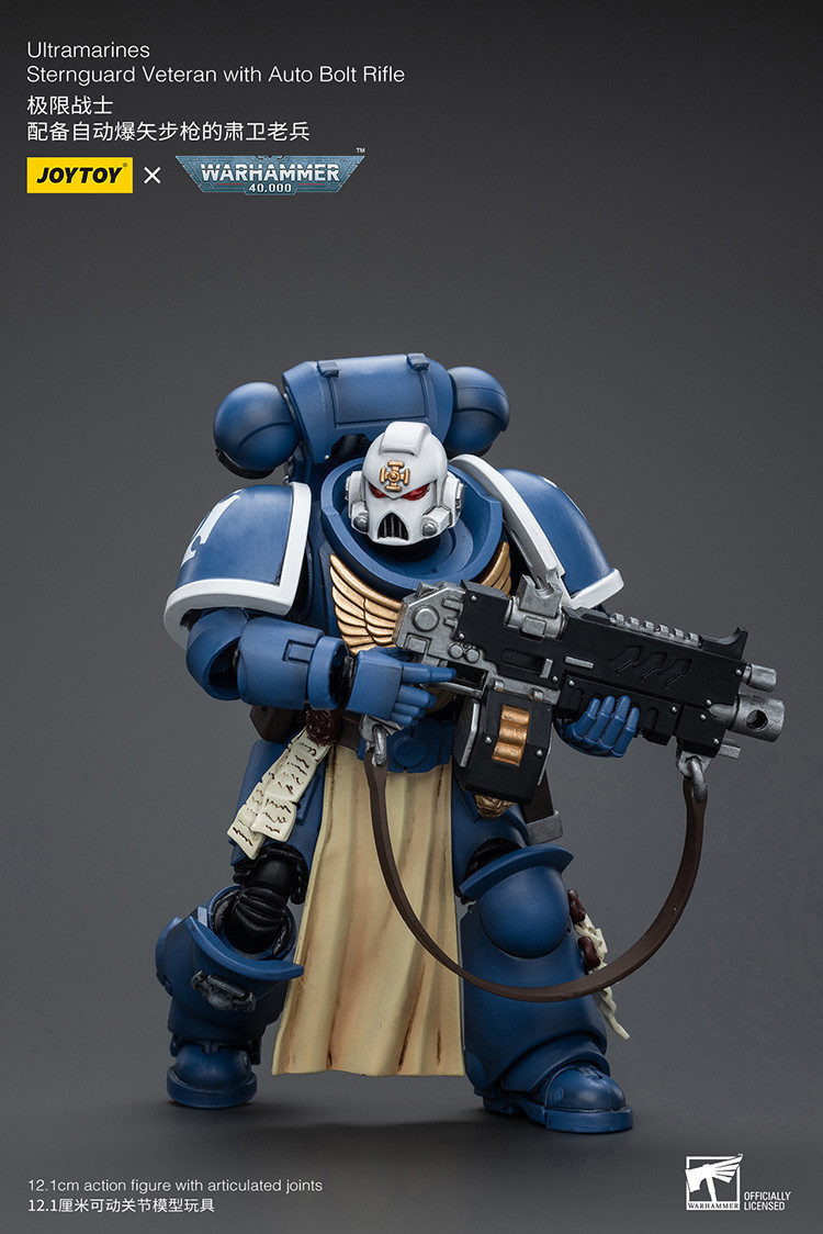Ultramarines Sternguard Veteran with Auto Bolt Rifle - view 10