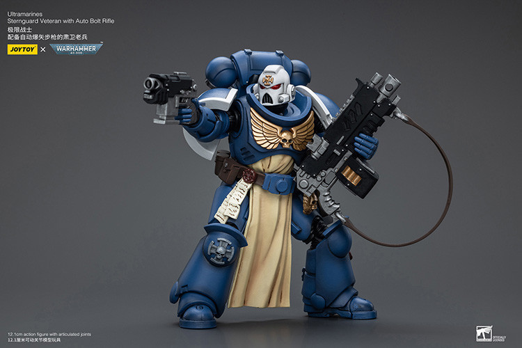 Ultramarines Sternguard Veteran with Auto Bolt Rifle - view 11