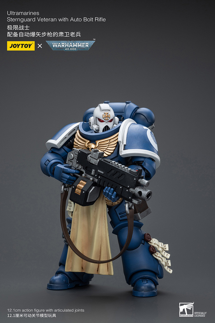 Ultramarines Sternguard Veteran with Auto Bolt Rifle - view 8