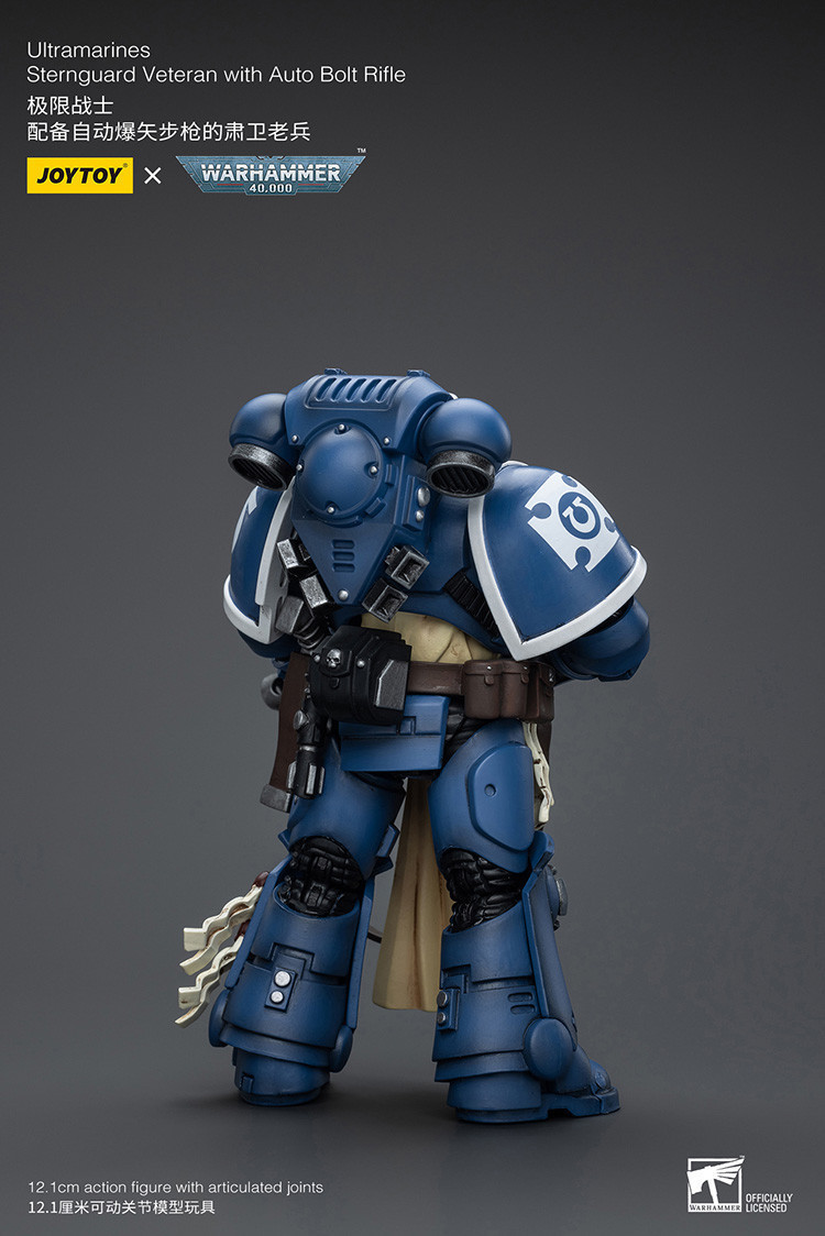 Ultramarines Sternguard Veteran with Auto Bolt Rifle - view 9