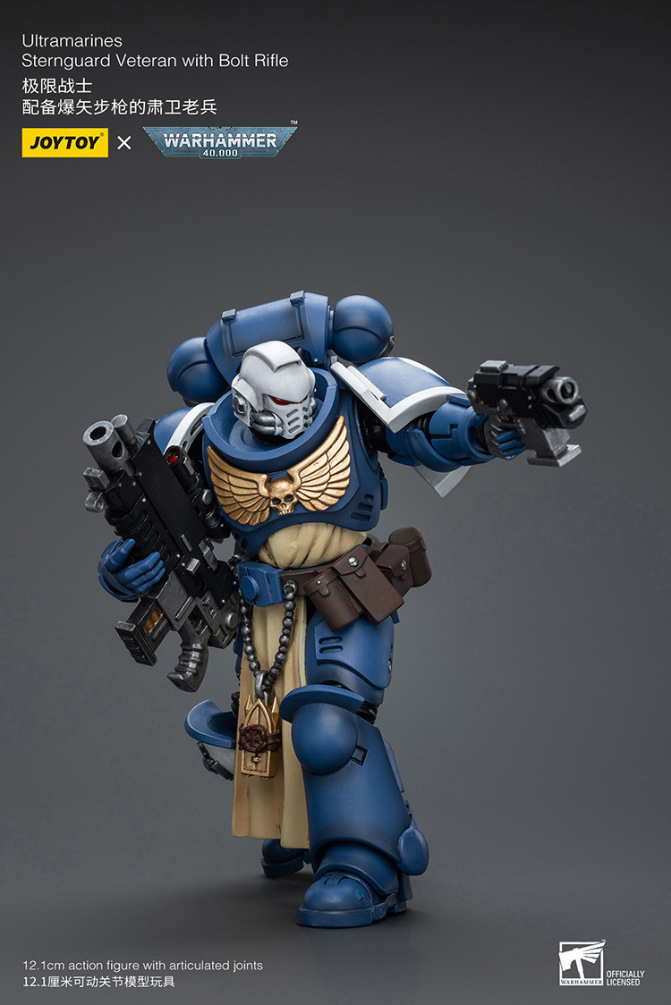 Ultramarines Sternguard Veteran with Bolt Rifle - view 11