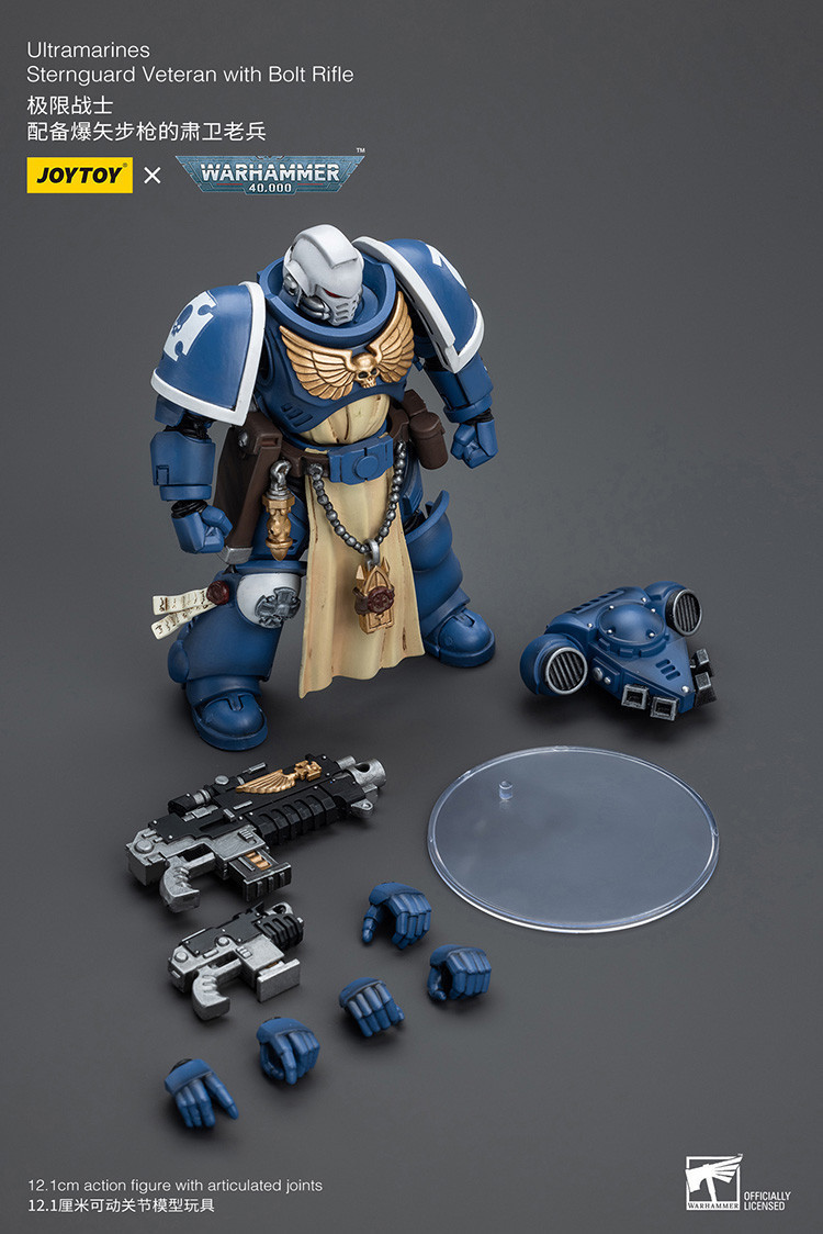 Ultramarines Sternguard Veteran with Bolt Rifle - view 12