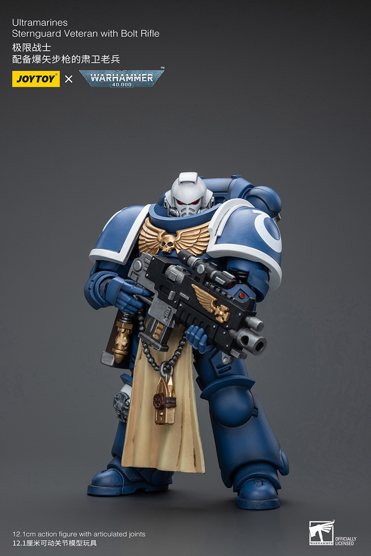 Ultramarines Sternguard Veteran with Bolt Rifle - view 8