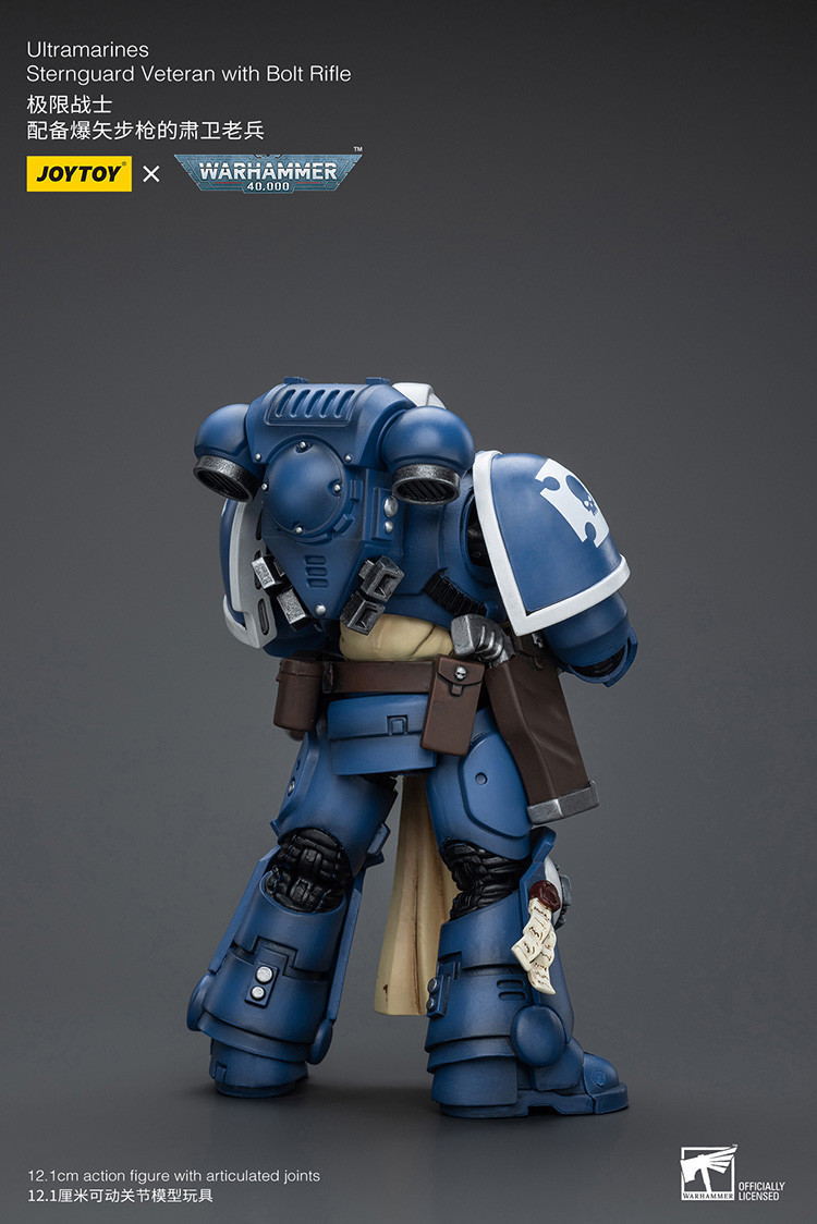 Ultramarines Sternguard Veteran with Bolt Rifle - view 9
