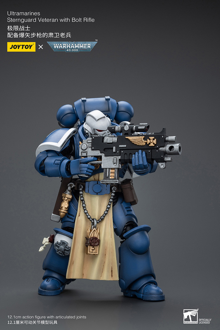 Ultramarines Sternguard Veteran with Bolt Rifle - view 10