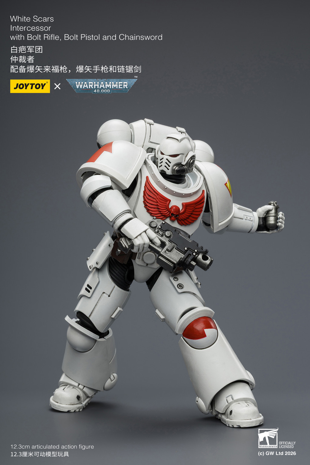 White Scars Intercessor with Bolt Rifle, Bolt Pistol and Chainsword - view 15