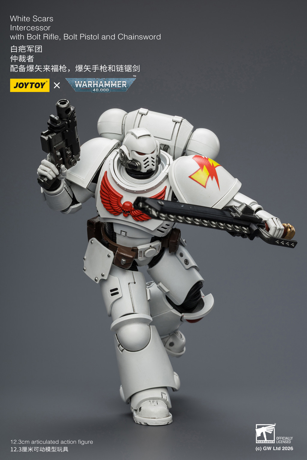 White Scars Intercessor with Bolt Rifle, Bolt Pistol and Chainsword - view 17