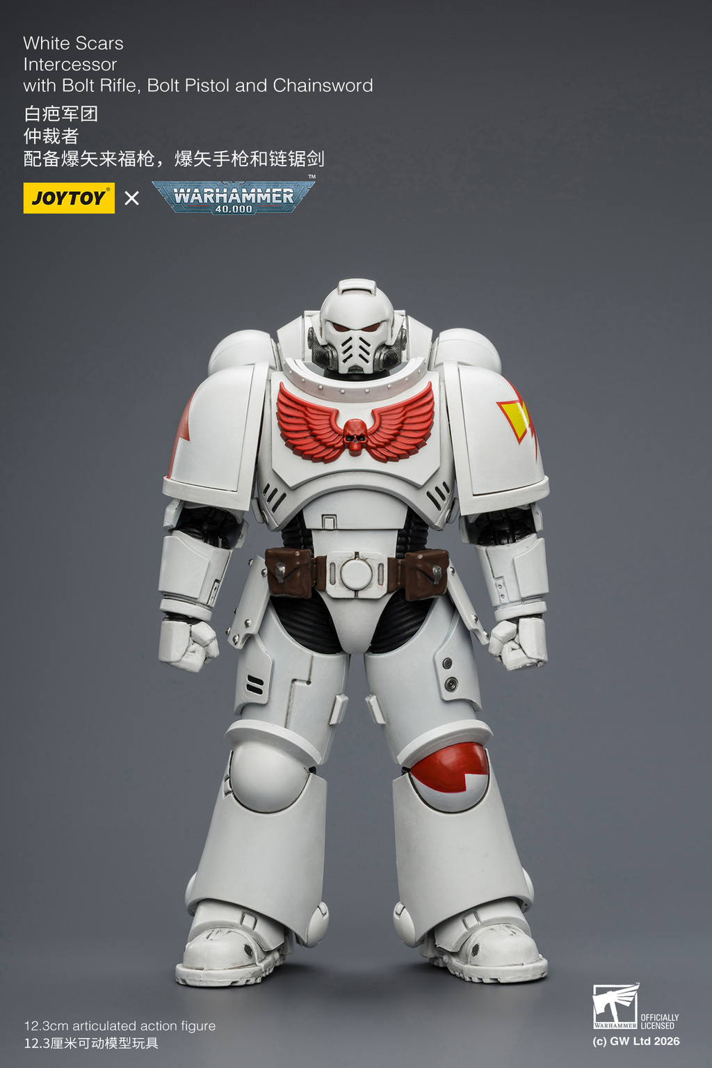 White Scars Intercessor with Bolt Rifle, Bolt Pistol and Chainsword - view 9