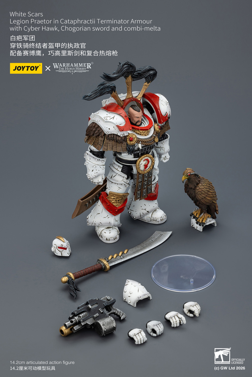 White Scars Legion Praetor in Cataphractii Terminator Armour with Cyber Hawk, Chogorian sword and combi-melta - view 18