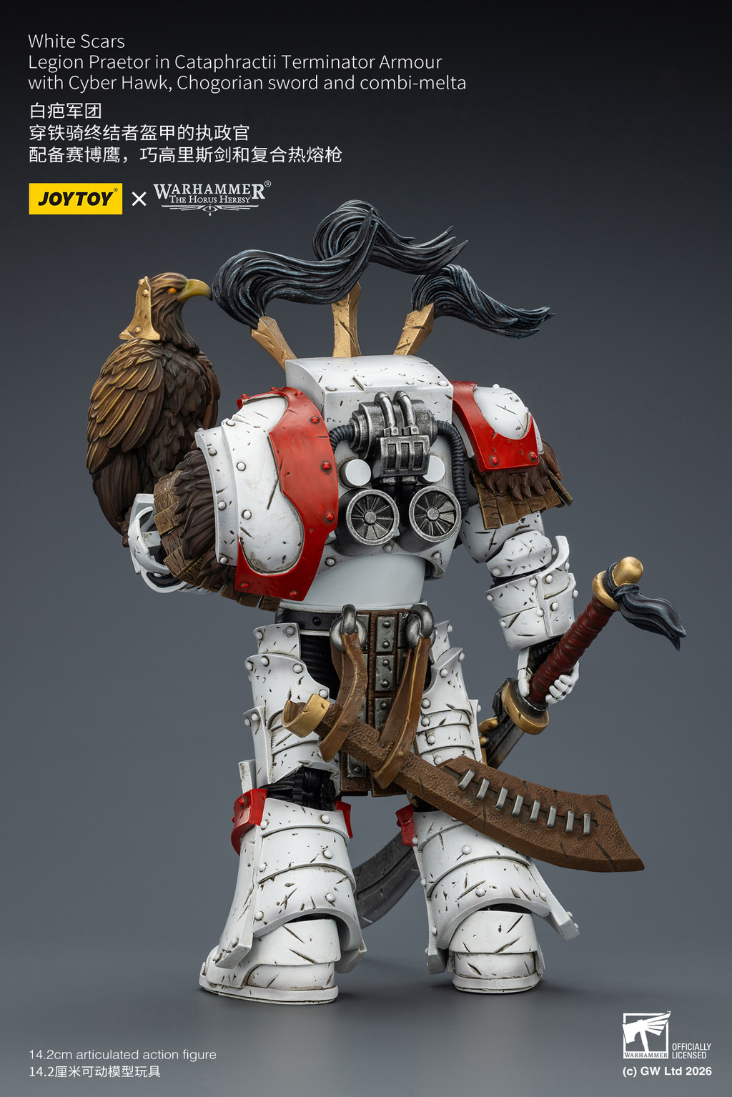 White Scars Legion Praetor in Cataphractii Terminator Armour with Cyber Hawk, Chogorian sword and combi-melta - view 11