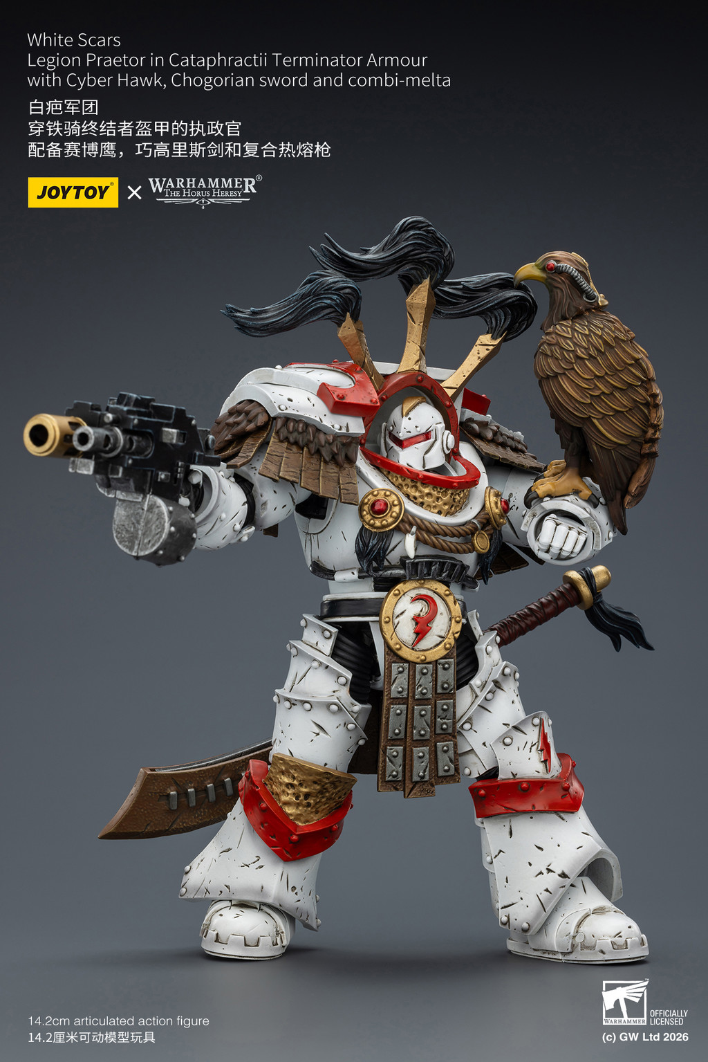 White Scars Legion Praetor in Cataphractii Terminator Armour with Cyber Hawk, Chogorian sword and combi-melta - view 12