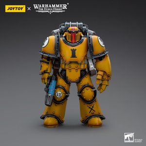 Imperial Fists  
Legion MkIII Tactical Squad 
Sergeant with Power Fist - Premium action figure - $0.00
