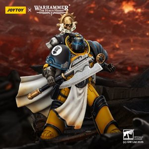 Imperial Fists Librarian Consul with Force Axe and Bolt Pistol - Premium action figure - $0.00