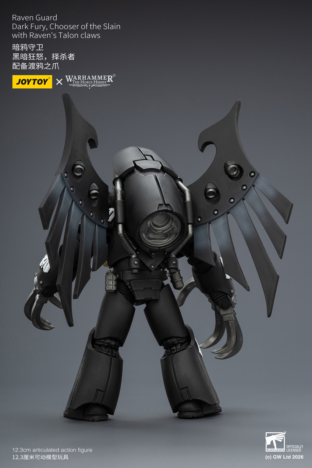 Raven Guard Dark Fury, Chooser of the Slain with Raven's Talon claws - view 10