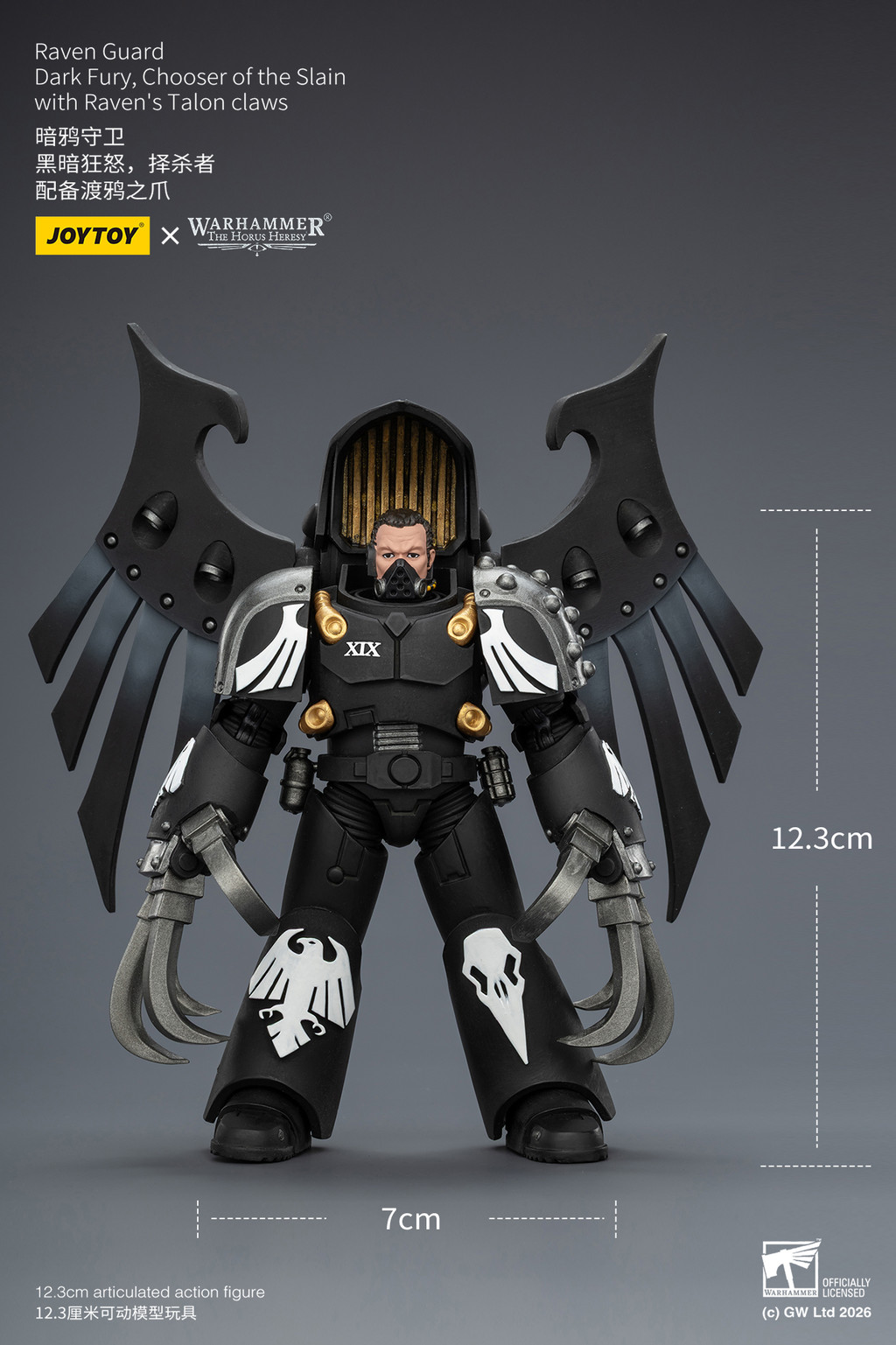 Raven Guard Dark Fury, Chooser of the Slain with Raven's Talon claws - view 17