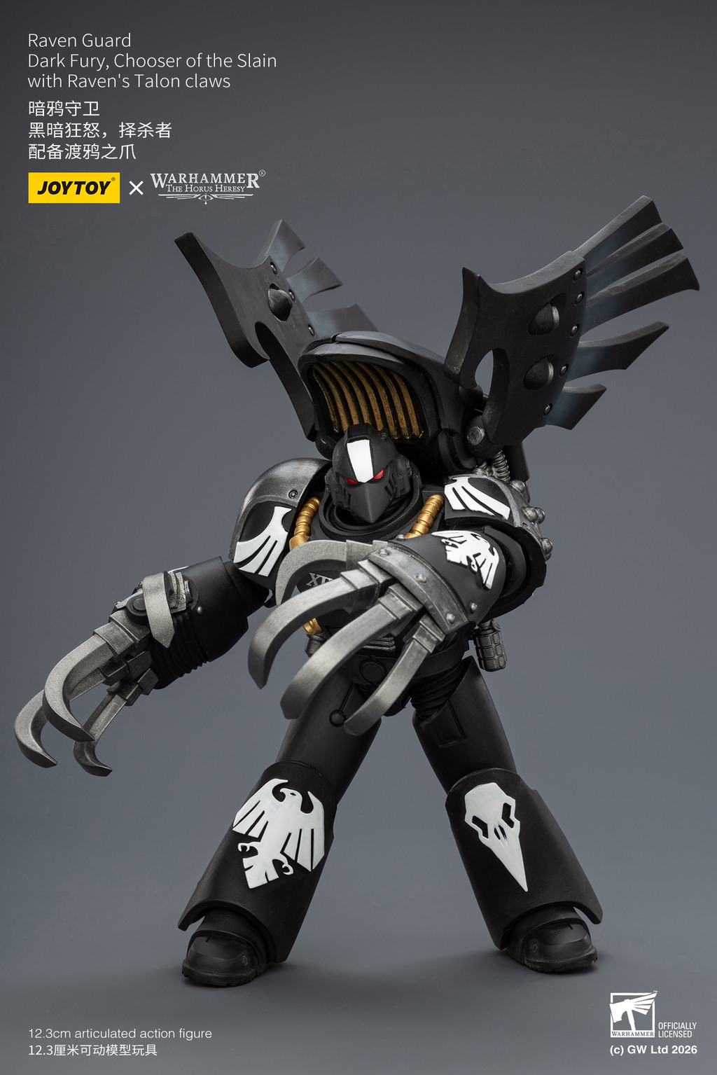 Raven Guard Dark Fury, Chooser of the Slain with Raven's Talon claws - view 11