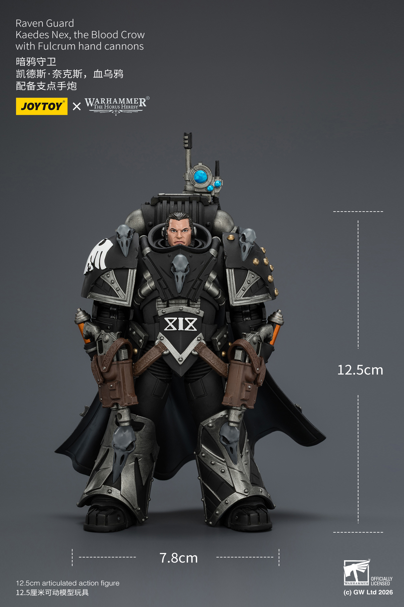 Raven Guard Kaedes Nex, the Blood Crow with Fulcrum hand cannons - view 18