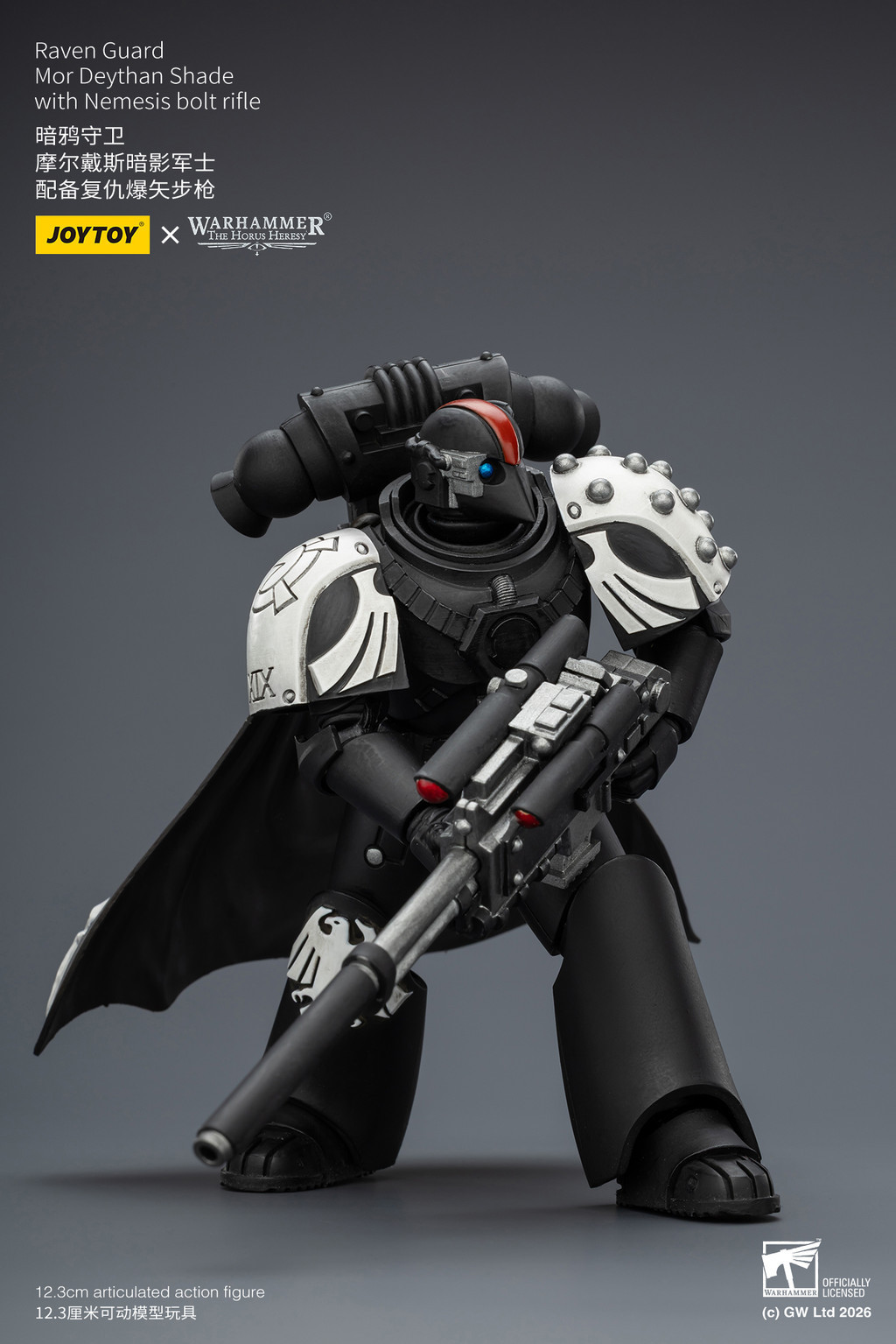 Raven Guard Mor Deythan Shade with Nemesis bolt rifle - view 17
