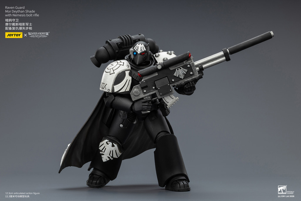 Raven Guard Mor Deythan Shade with Nemesis bolt rifle - view 14