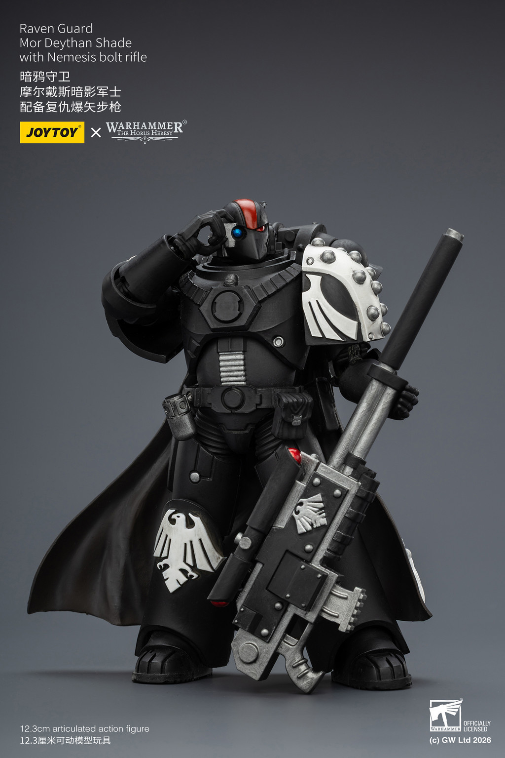 Raven Guard Mor Deythan Shade with Nemesis bolt rifle - view 16