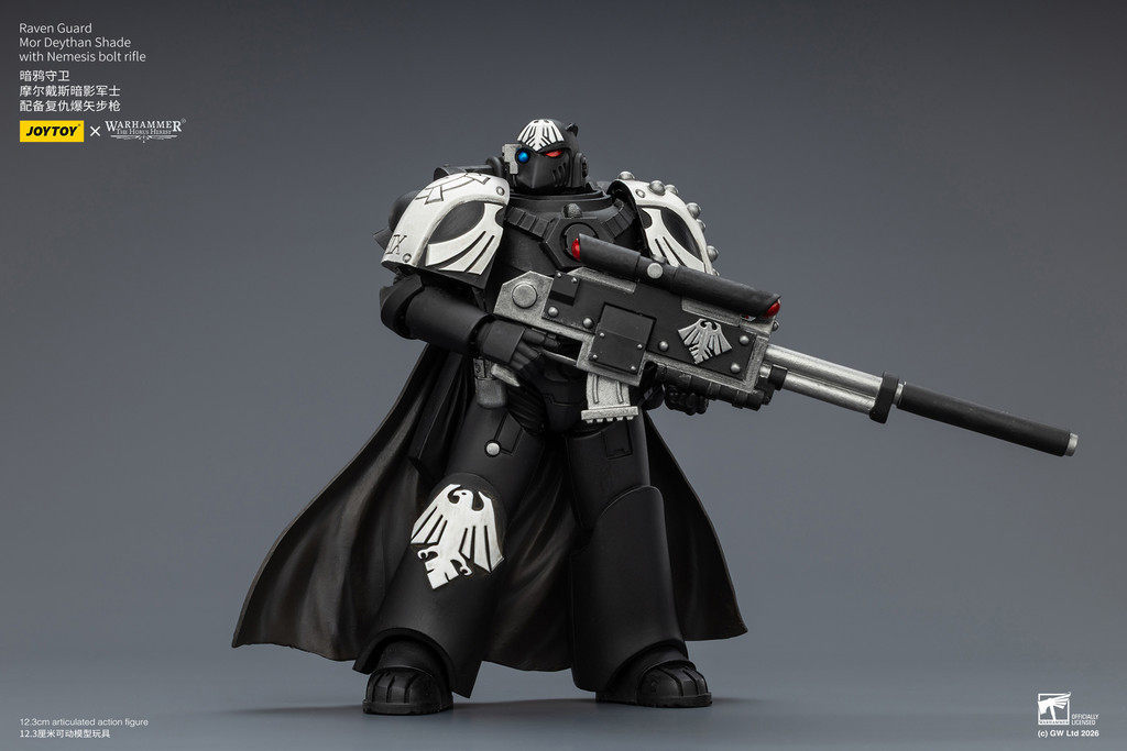 Raven Guard Mor Deythan Shade with Nemesis bolt rifle - view 11