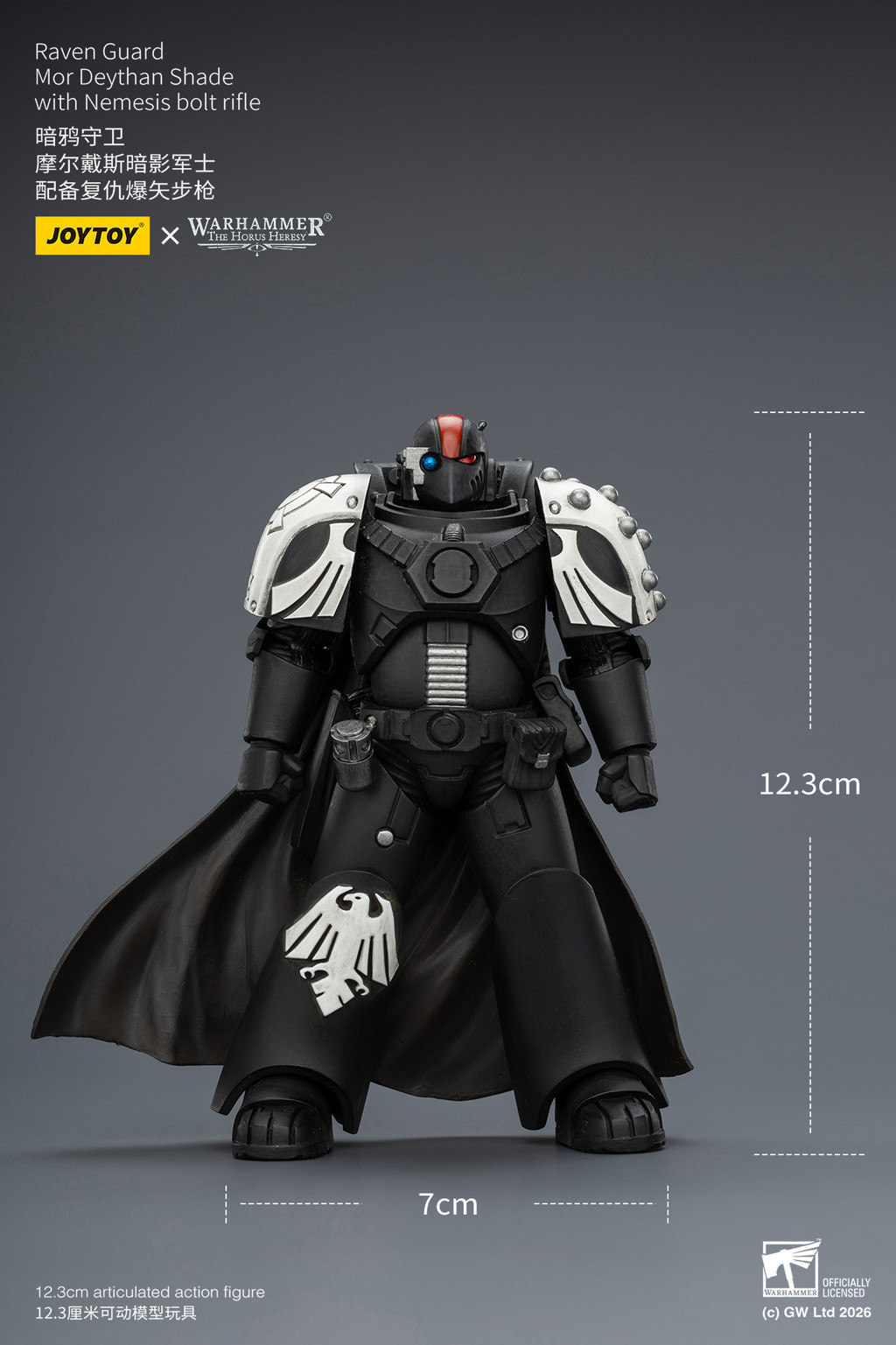 Raven Guard Mor Deythan Shade with Nemesis bolt rifle - view 15