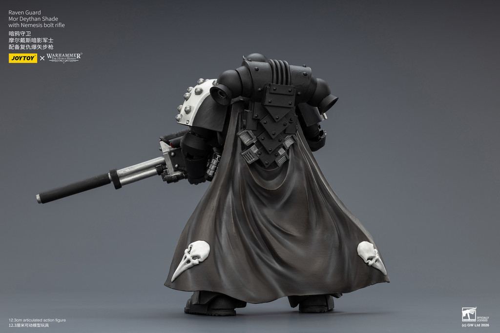 Raven Guard Mor Deythan Shade with Nemesis bolt rifle - view 12