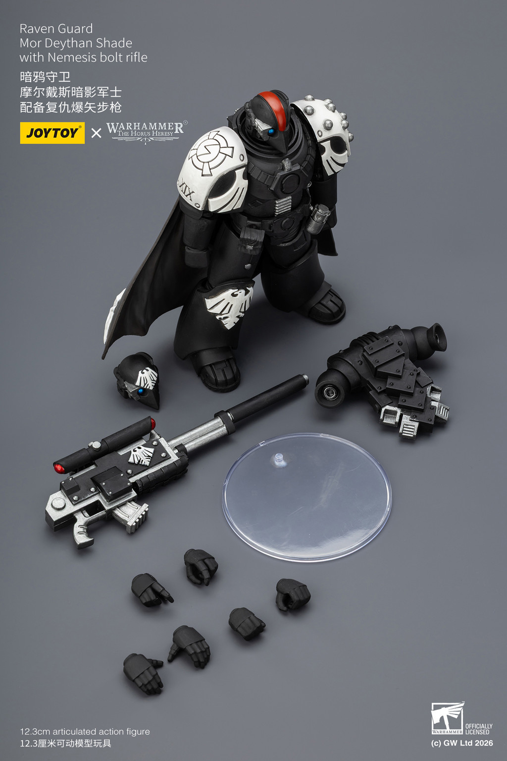 Raven Guard Mor Deythan Shade with Nemesis bolt rifle - view 18