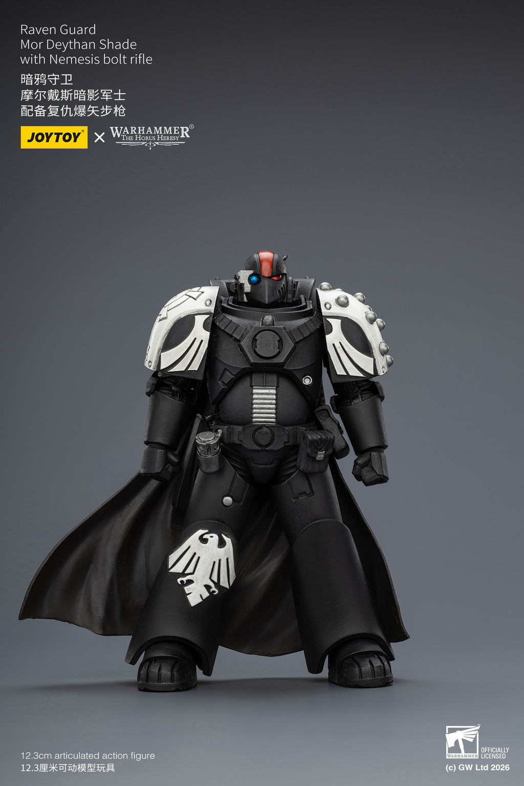 Raven Guard Mor Deythan Shade with Nemesis bolt rifle - view 9