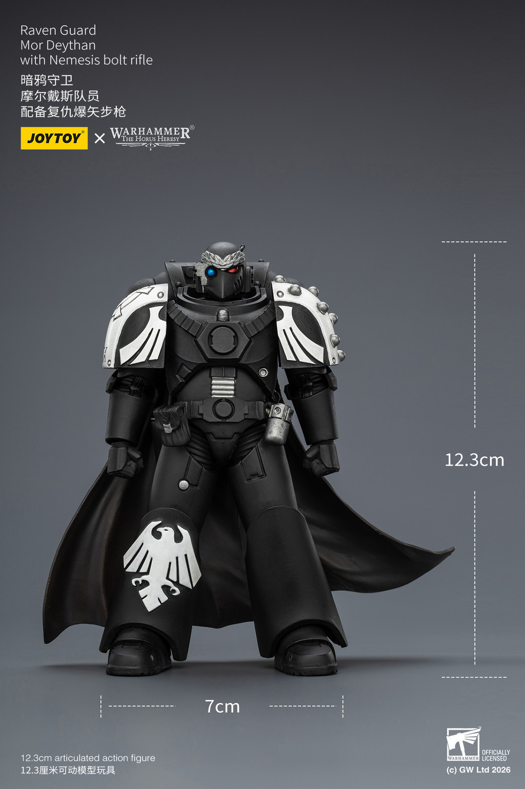 Raven Guard Mor Deythan with Nemesis bolt rifle - view 15