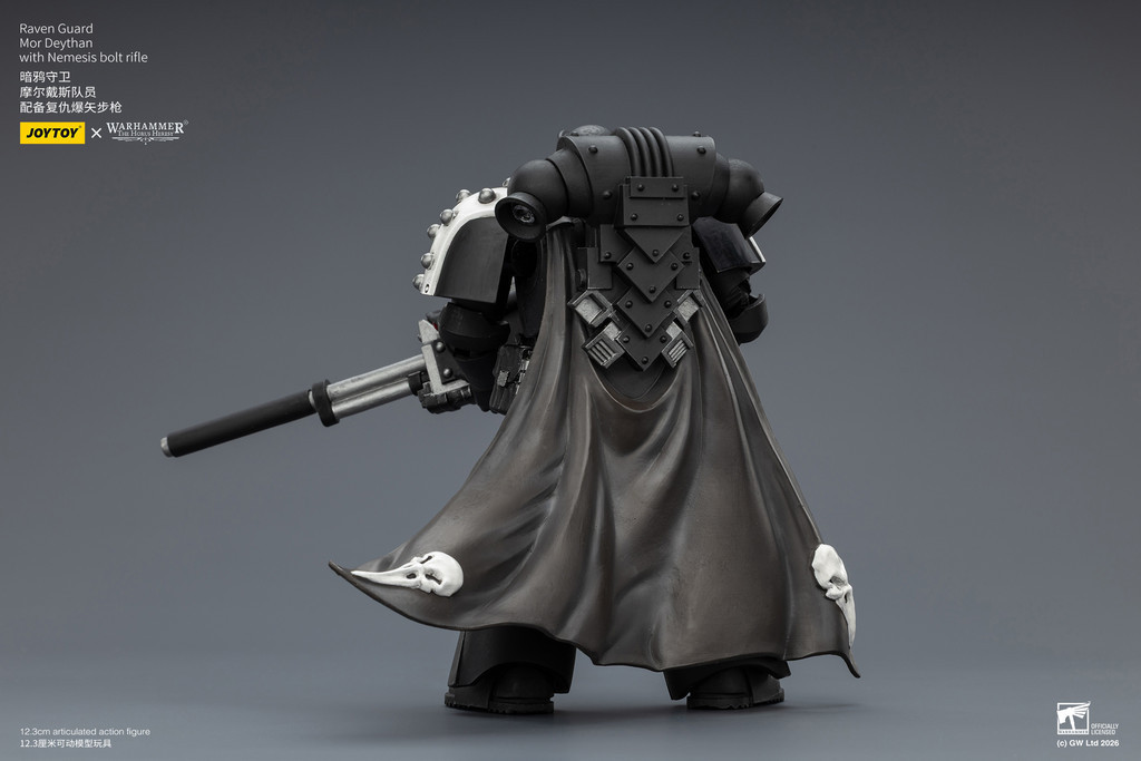 Raven Guard Mor Deythan with Nemesis bolt rifle - view 11