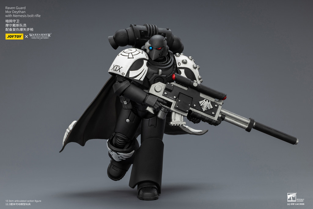 Raven Guard Mor Deythan with Nemesis bolt rifle - view 14