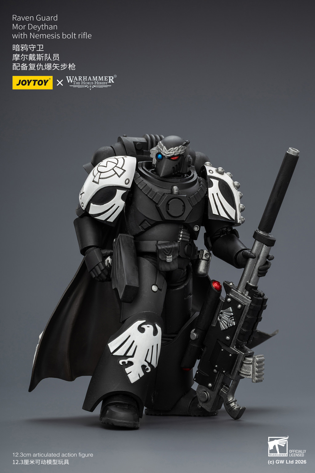 Raven Guard Mor Deythan with Nemesis bolt rifle - view 16