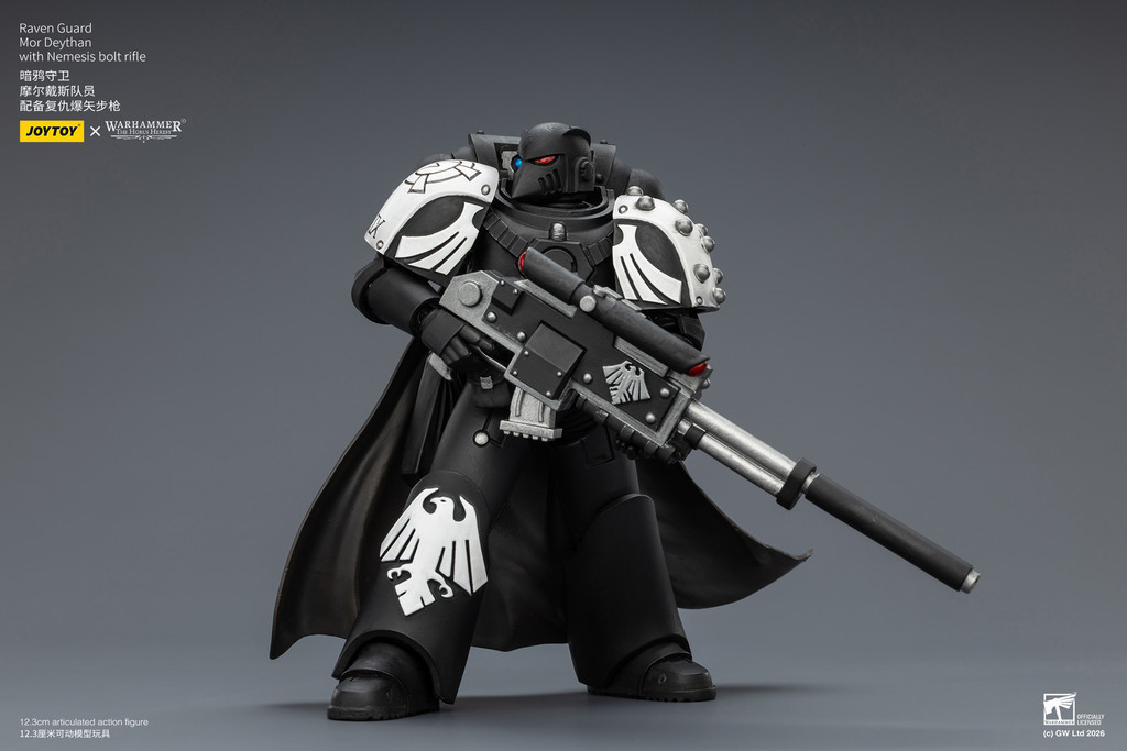 Raven Guard Mor Deythan with Nemesis bolt rifle - view 13