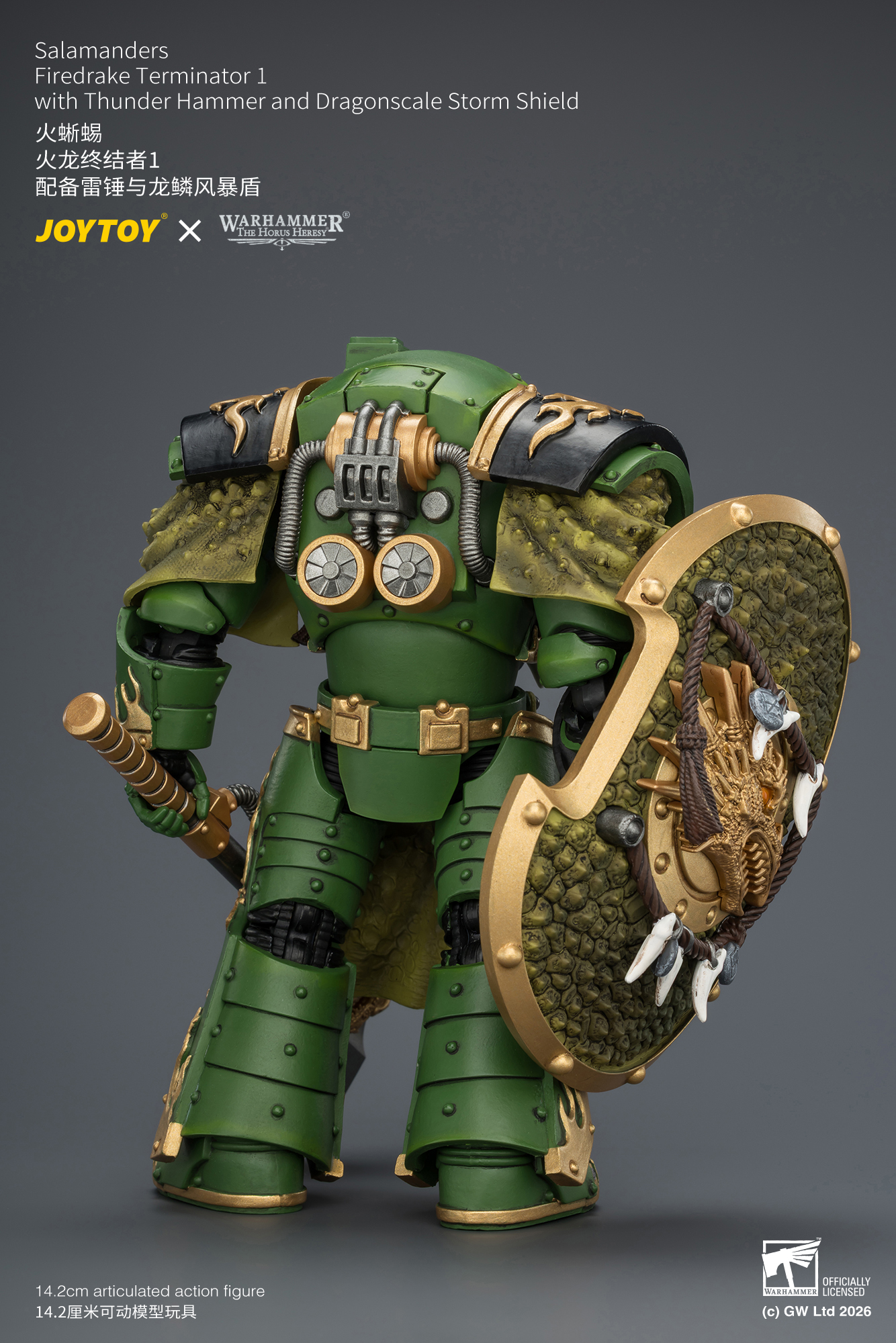 Salamanders Firedrake Terminator 1 with Thunder Hammer and Dragonscale Storm Shield - view 11