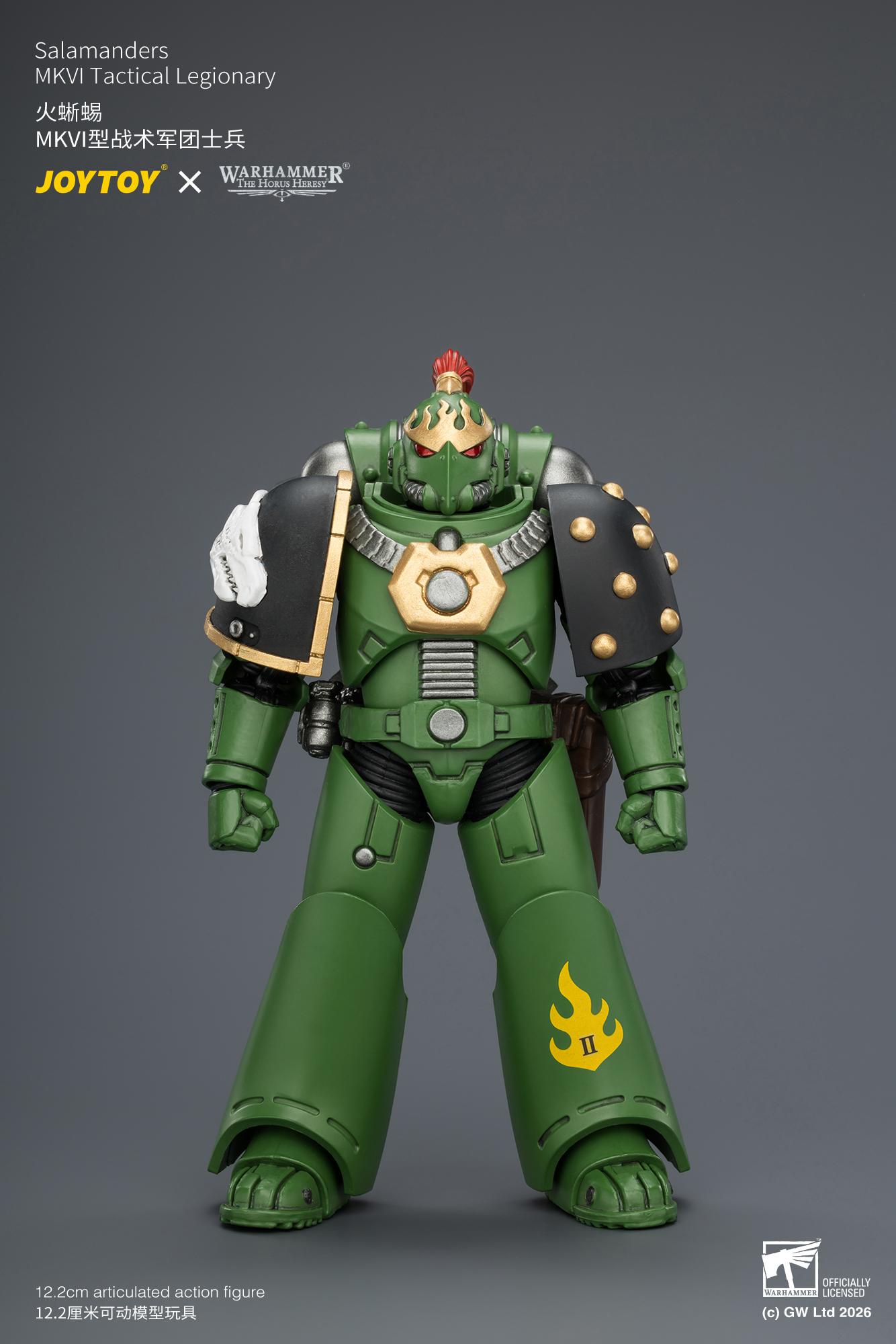 Salamanders MKVI Tactical Legionary - view 18