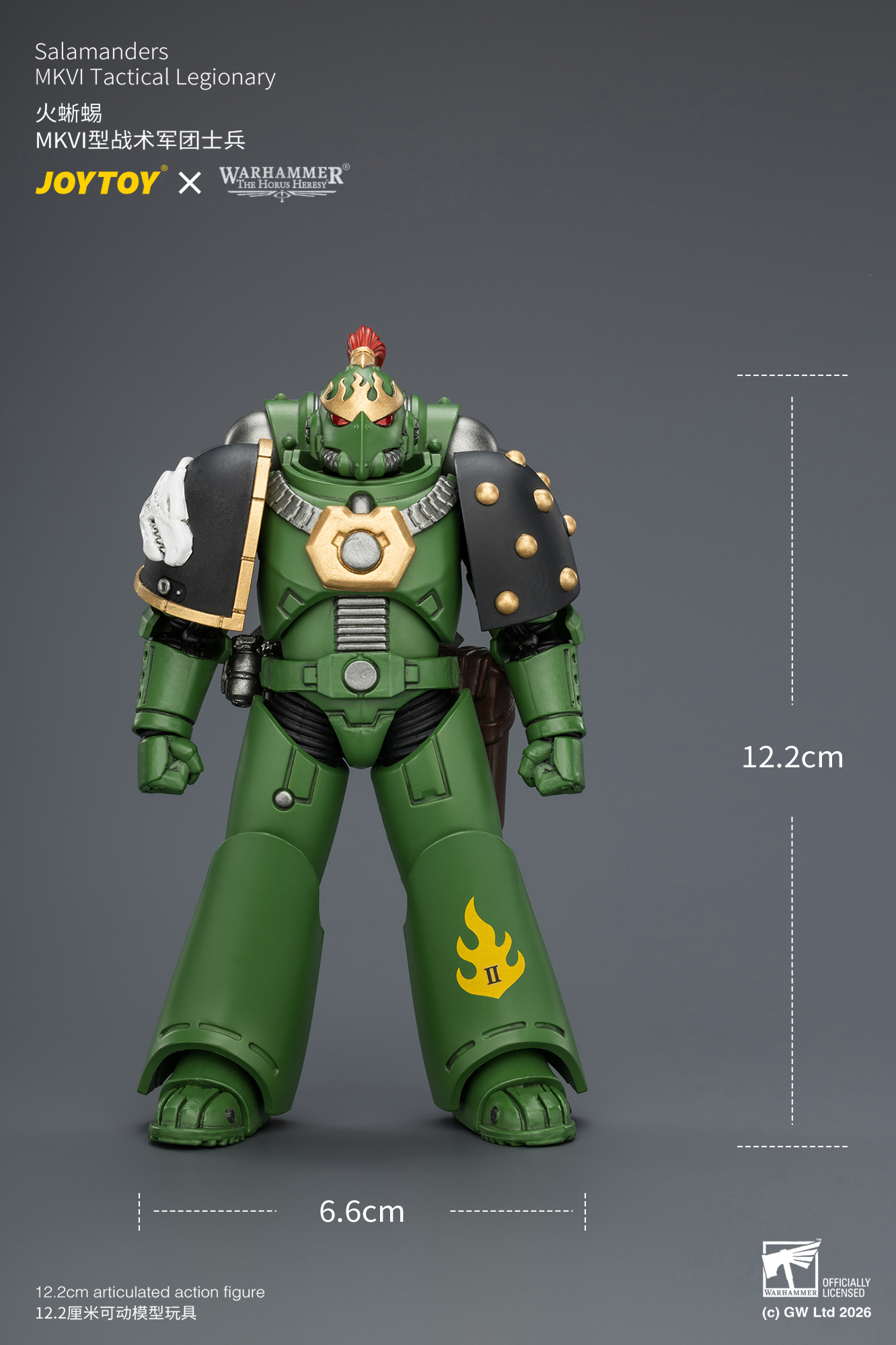 Salamanders MKVI Tactical Legionary - view 10