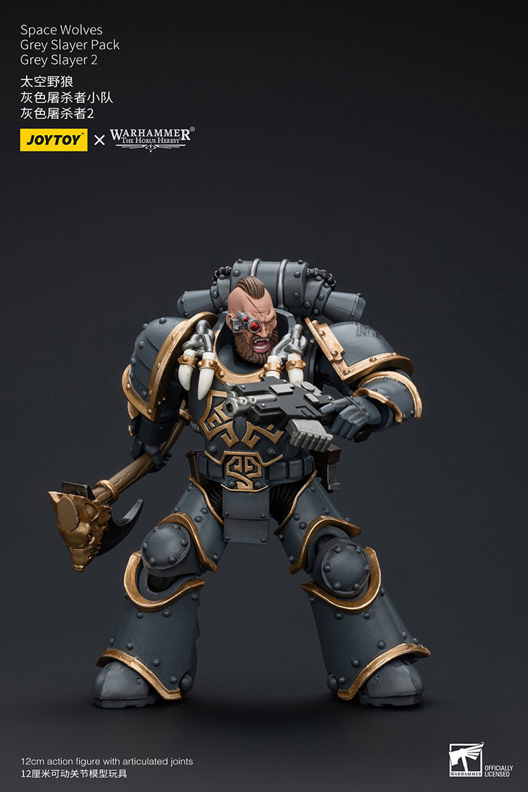 Space Wolves Grey Slayer Pack Grey Slayer2 - view 10