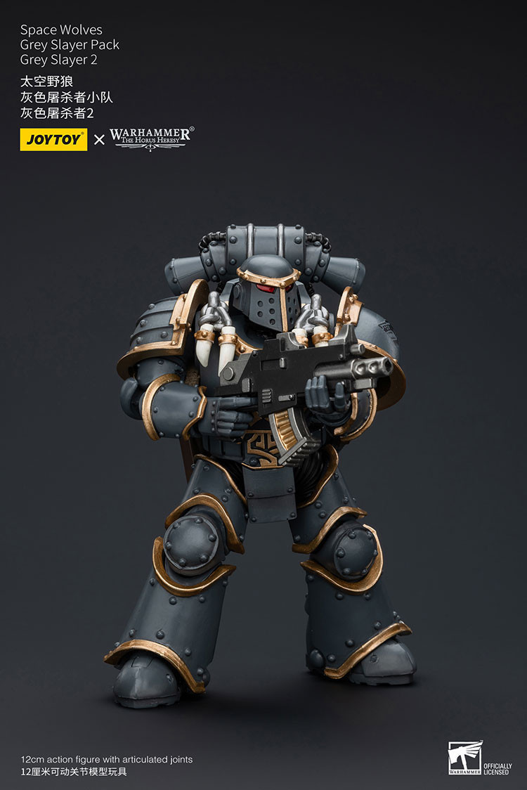 Space Wolves Grey Slayer Pack Grey Slayer2 - view 8