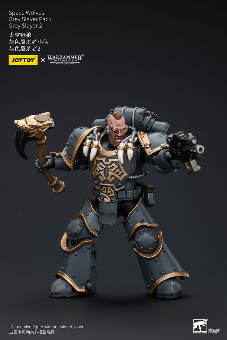 Space Wolves Grey Slayer Pack Grey Slayer2 - view 11