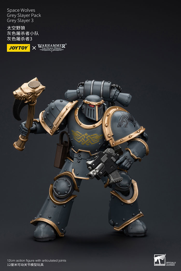 Space Wolves Grey Slayer Pack Grey Slayer3 - view 9