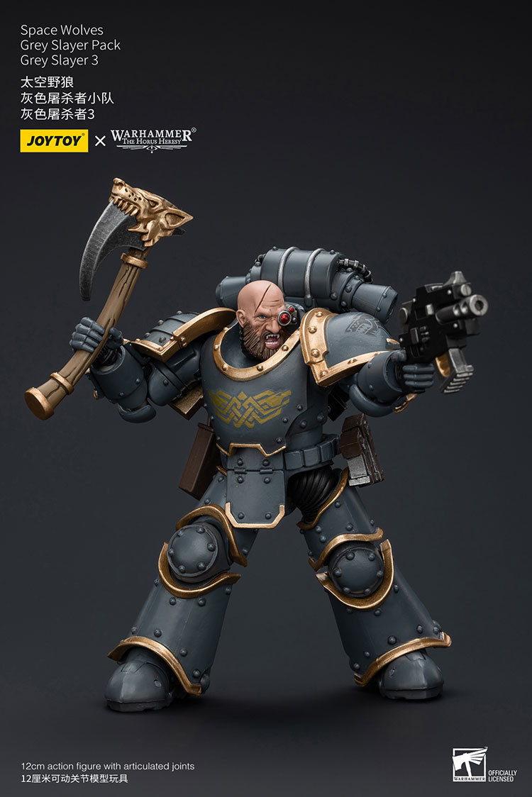 Space Wolves Grey Slayer Pack Grey Slayer3 - view 11