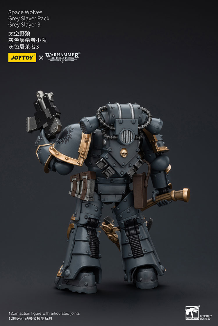 Space Wolves Grey Slayer Pack Grey Slayer3 - view 12