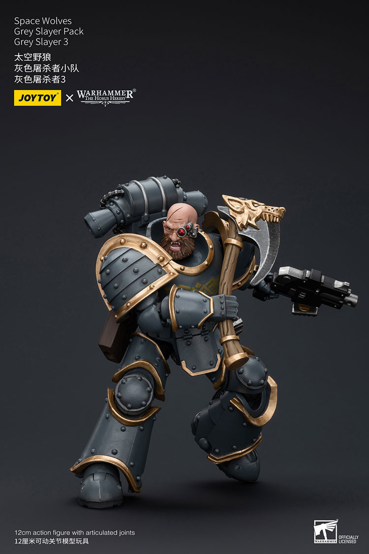 Space Wolves Grey Slayer Pack Grey Slayer3 - view 10