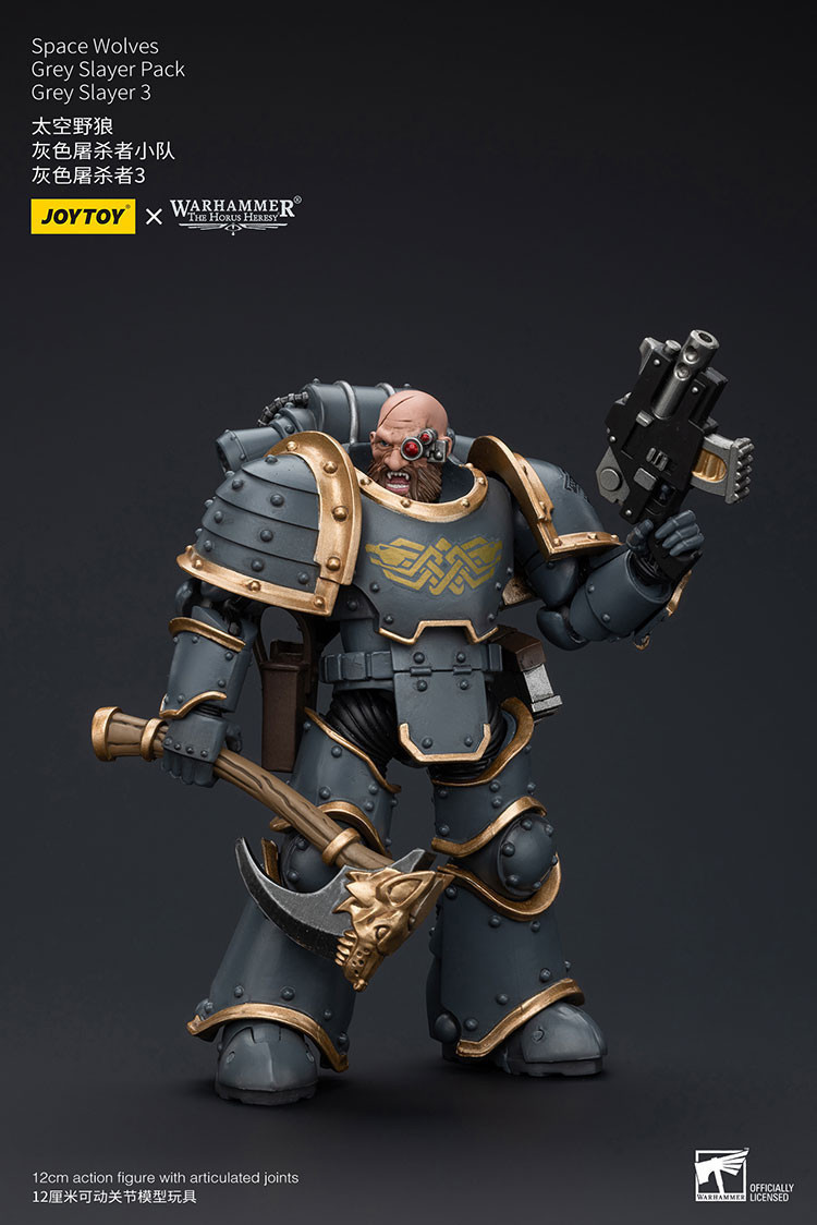 Space Wolves Grey Slayer Pack Grey Slayer3 - view 13