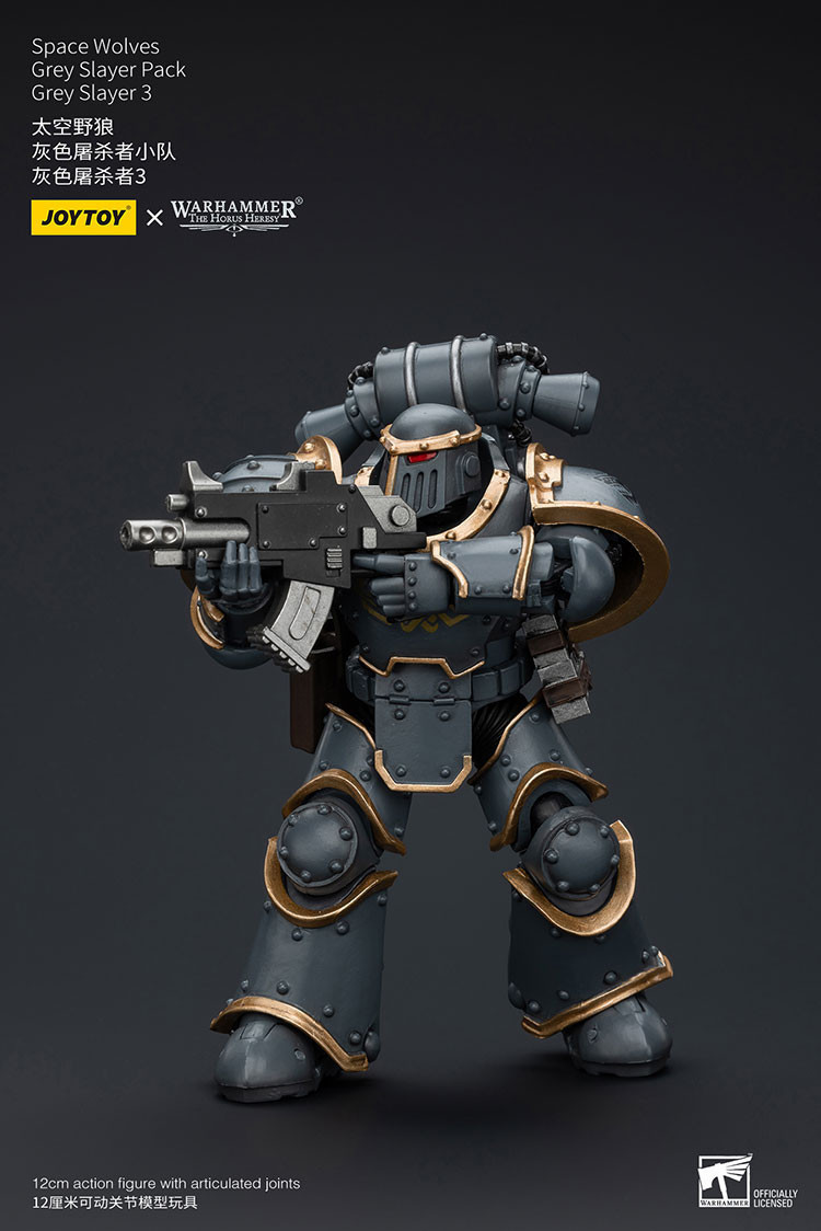 Space Wolves Grey Slayer Pack Grey Slayer3 - view 8