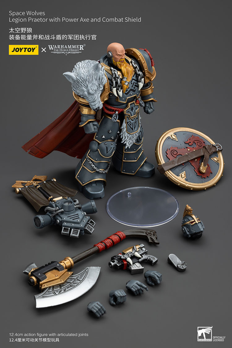 Space WolvesLegion Praetor with Power Axe and Combat Shield - view 15
