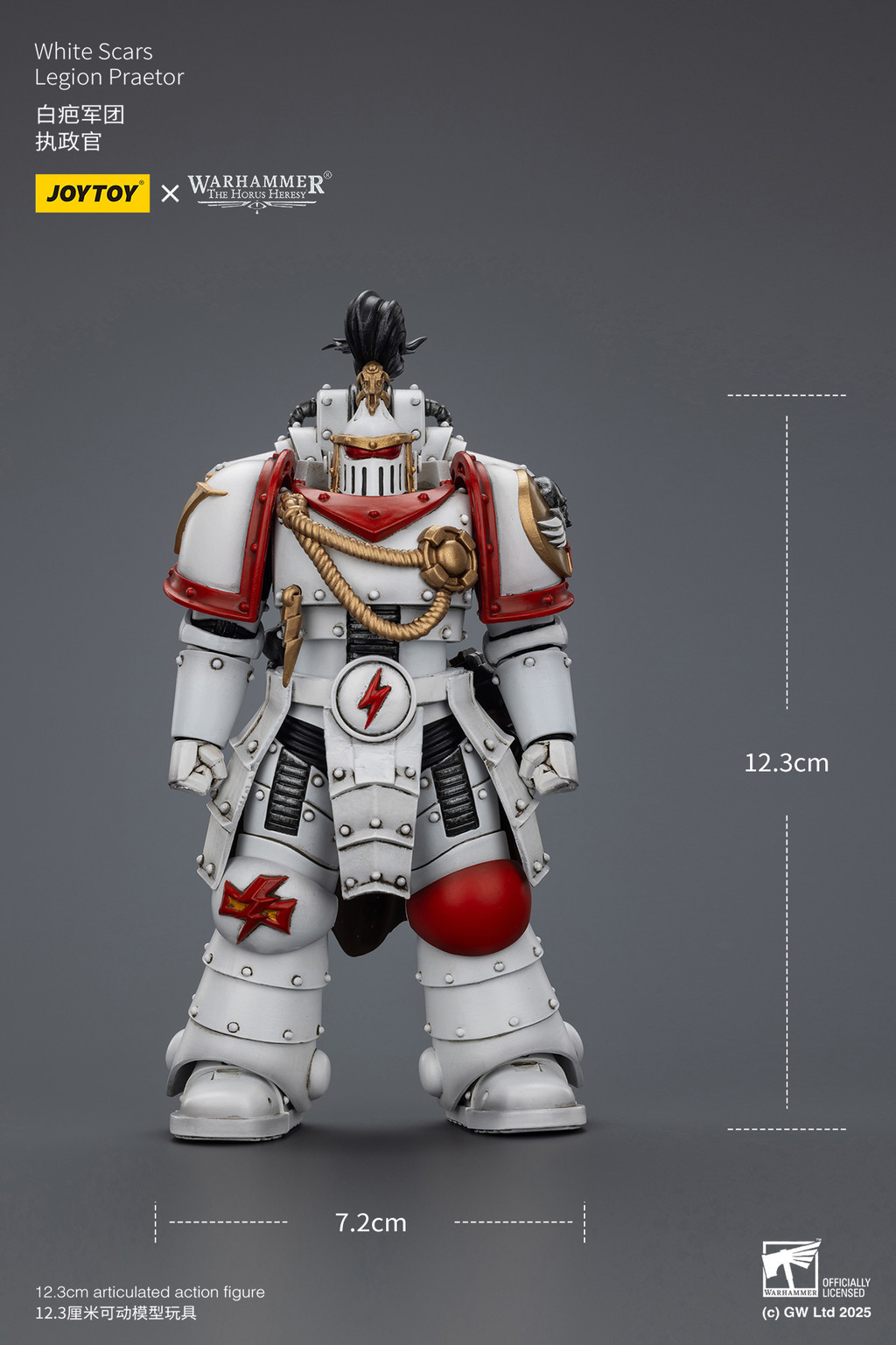 White Scars Legion Praetor - view 18